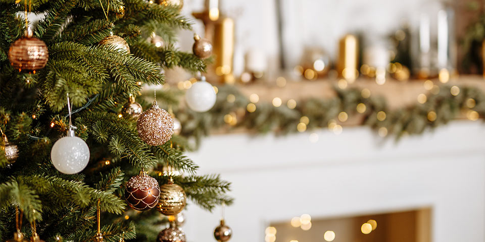 Tannenbaumtrends 2020 • Möbel Bald