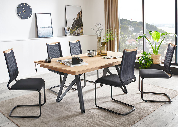 Stühle Freischwinger • Möbel Bald