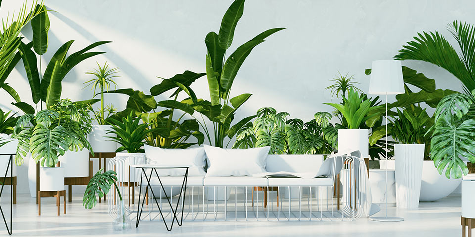 Schranksysteme die begeistern • Möbel Bald