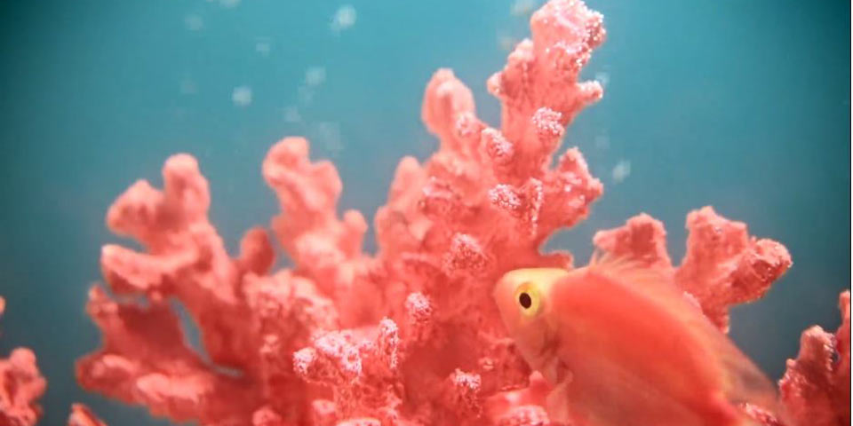 Wohnen nach Wunsch stand im Focus • Möbel Bald